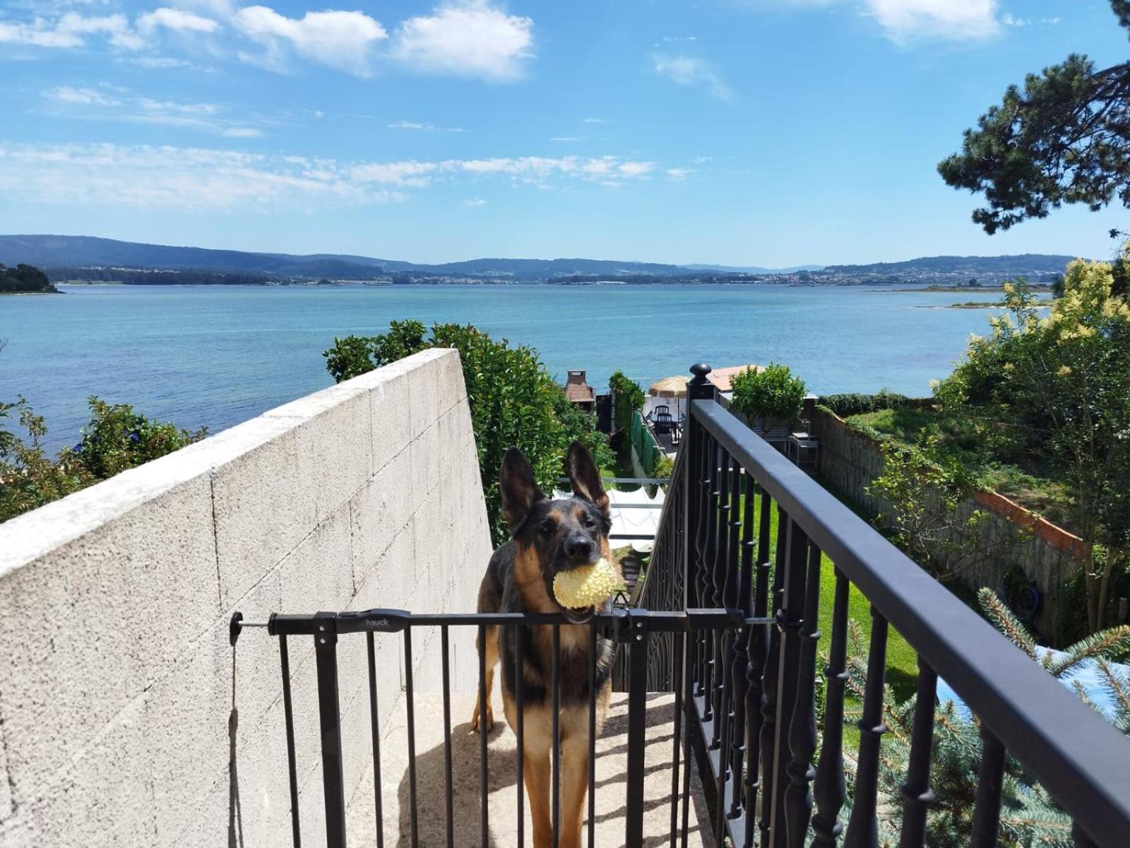 Apartament Vistas Al Mar E Isla De La Toja O Grove Zewnętrze zdjęcie